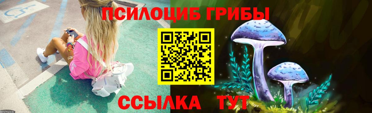Галлюциногенные грибы Psilocybe  Вход с VPN  Псилоцибиновые грибы мухоморы  Новотроицк 